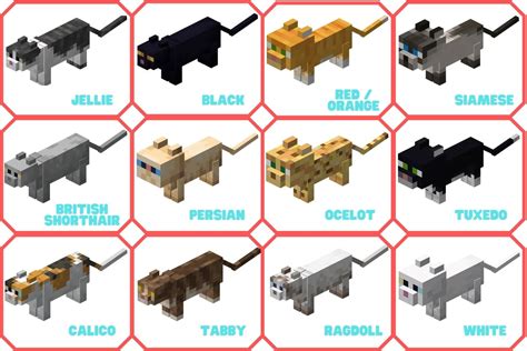 Minecraft Cat Breed Chart