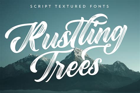 15+ Gorgeous Script Fonts For Beautiful Designs - 2024