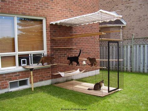 For your inside cats to have a fun outside area. Description from ...