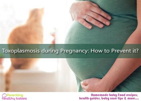 Toxoplasmosis during Pregnancy: How to Prevent it?