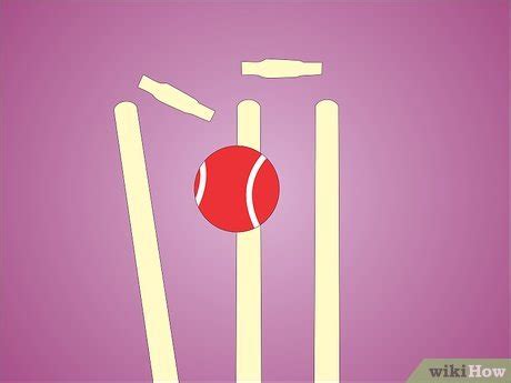 How to Play Cricket: 14 Steps (with Pictures) - wikiHow