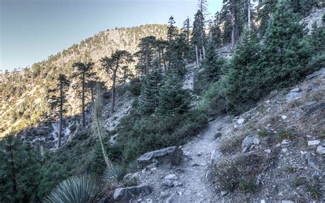 Mount Baldy Summit via Ski Hut Trail | Outdoor Project