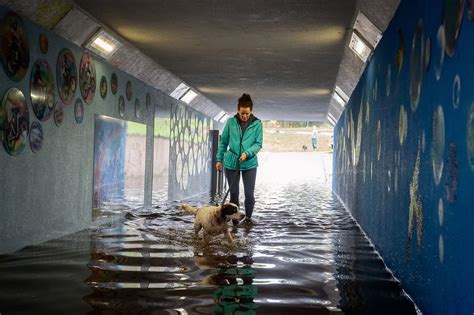 Devon battered by torrential flooding and rain - in pictures - Devon Live