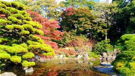 Imperial Palace gardens in Autumn | Tokyo, Japan ⋆ Must see Tokyo