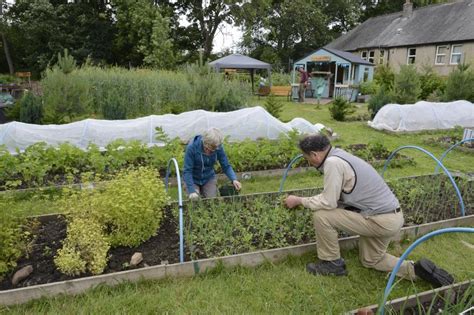 Green Infrastructure Community Engagement Fund Projects | NatureScot