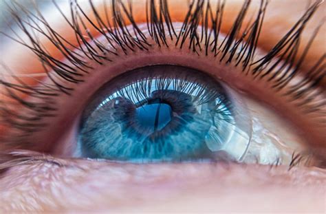 Everything You Should Know About The Sclera Contact Lenses – ANR Miami