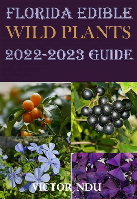 Buy Florida Edible Wild Plants 2022-2023 Guide: Identifying, Harvesting ...