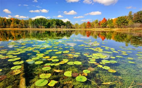 Natur Herbst Waldsee 2560x1600 HD Hintergrundbilder, HD, Bild