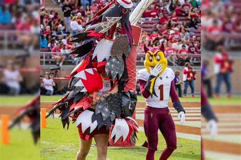 Student suspended as Stanford Tree mascot over sign incident