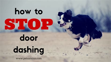 Door Dashing Prevention Tips