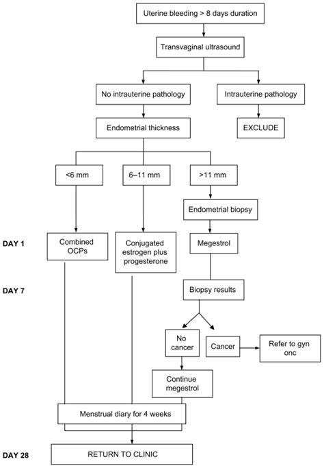 Management scheme used for dysfunctional uterine bleeding. | Download Scientific Diagram