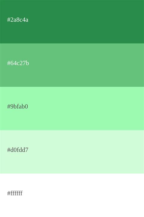 Paleta de color verde menta [códigos y combinaciones]