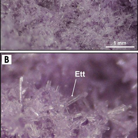 Natural Cr3+-rich ettringite: occurrence, properties, and crystal structure | Request PDF