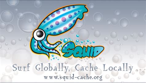 squid : Optimising Web Delivery