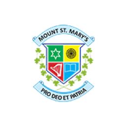 Mount St. Mary’s School, Delhi Cantt, Delhi | Admission 2024, Fees, Reviews - CBSE Coed School ...