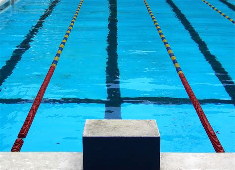 File:Competition swimming pool block.jpg - Wikipedia
