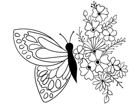 Contorno de mariposa y flor para colorear libro | Vector Premium