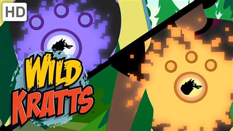 Wild Kratts 💥 Activate All Season 5 Creature Powers! | Kids Videos - vTomb