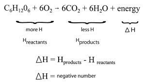 Molecular HydroCarbons: Energy in the Equation & Energy Calculations