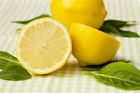 Citron vs. Lemon: Learn the 6 Key Differences Now!