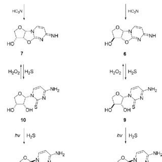 Synthesis of tetrose nucleosides by photochemical anomerization.... | Download Scientific Diagram