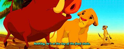 Lion King Quotes Timon And Pumbaa | Wallpaper Image Photo