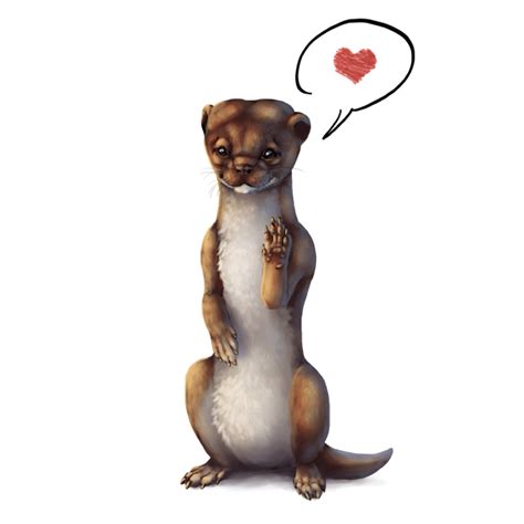 How to Draw Animals: Weasels, Stoats, Minks, Polecats and Ferrets | Envato Tuts+