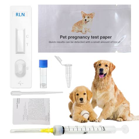 Buy Pet Dog Pregnancy Test Paper,Canine RLN Early Pregnancy Test Kit ...