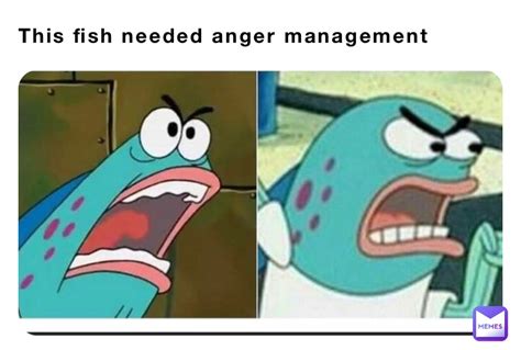 This fish needed anger management | @iame.briv | Memes