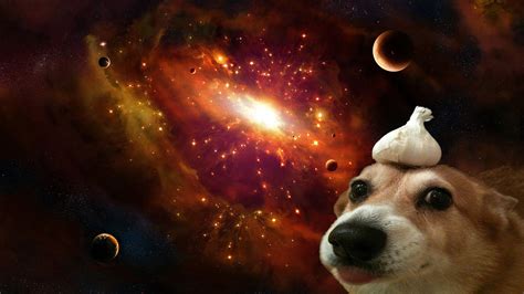 A dog with garlic on its' head in space [1920x1080]. #Followme #CooliPhone6Case on #T ...