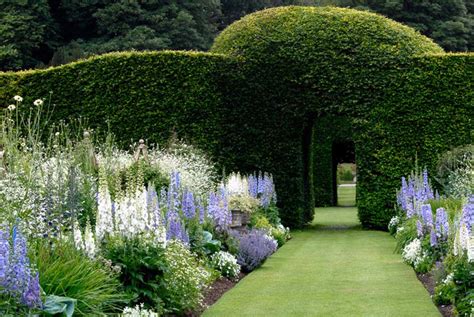 Blue & White Garden Design Ideas