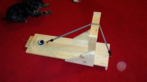 I made a catapult for my physics project (Bonus puppy) : somethingimade