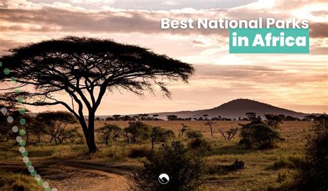 8 Best National Parks in Africa [Nature and Wildlife]