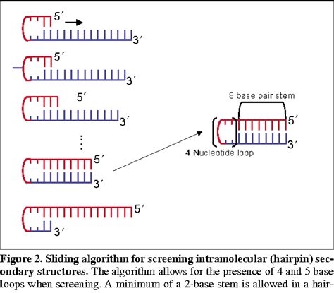 Figure 2 from AutoDimer: a screening tool for primer-dimer and hairpin structures. | Semantic ...