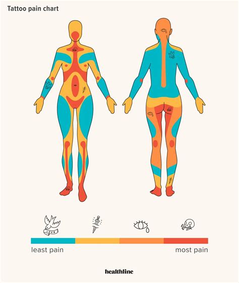 Top 87+ about tattoo pain chart female best - Billwildforcongress