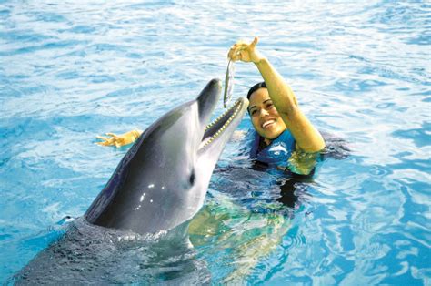 Dolphin Swim en Ocean World