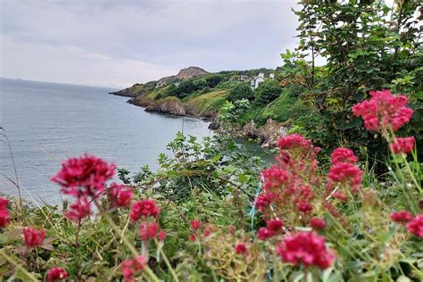 Howth Cliff Walk - The Hidden Howth Hike and Pints Tour