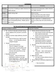 Metabolism: Anabolism vs. Catabolism and the Role of Enzymes in | Course Hero