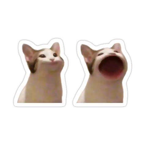 "Popping Cat Meme " Sticker for Sale by Merch-On | Weird stickers, Pop ...