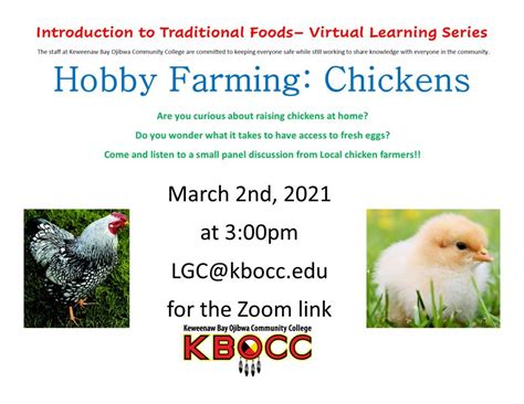 Hobby Farming: Chickens – Keweenaw Bay Ojibwa Community College