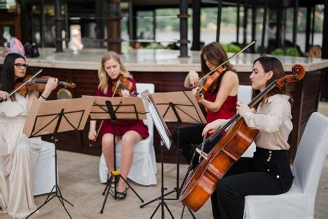 Free picture: orchestra, women, classic, music, musician, viola, violin, instrument, people, concert