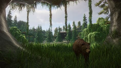 My bear habitat turned out pretty well. : r/PlanetZoo