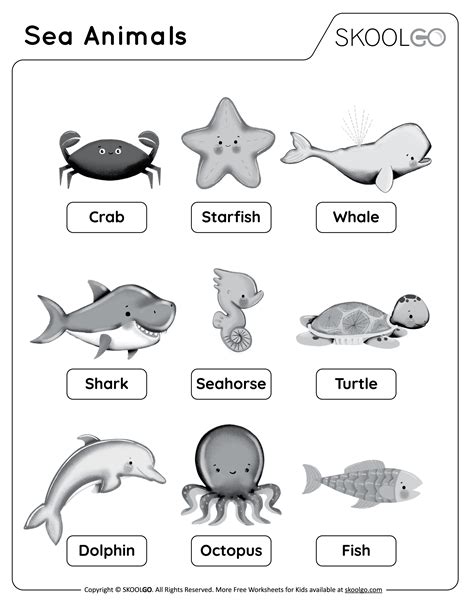 Ocean Animals Pictures Printable