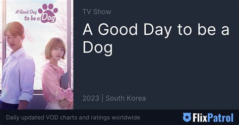 A Good Day to be a Dog • FlixPatrol