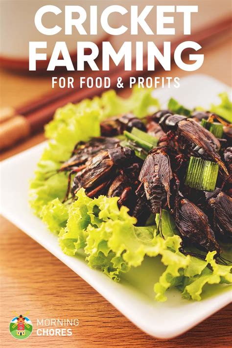 Cricket Farming: 7 Effortless Steps to Raise Crickets for Profit/Food