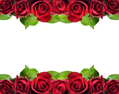Download Red Roses Border Png - Red Roses Border Design Hd PNG Image with No Background - PNGkey.com
