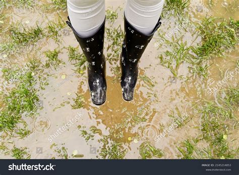 Top View Unrecognizable Woman Galoshes On Stock Photo 2145214853 ...