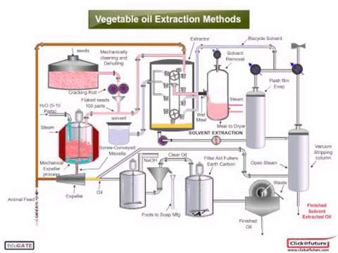 Chemical :CPT vegetable oil extraction method - YouTube