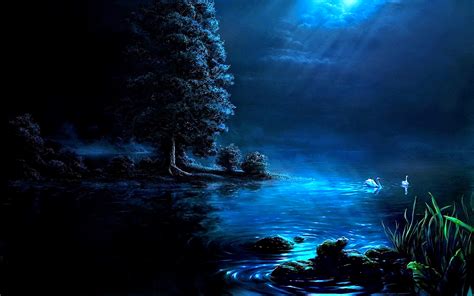 Download Night Rain Tree Swan Pond Fantasy Landscape HD Wallpaper