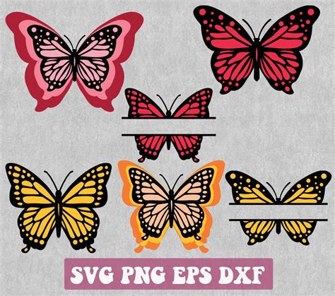 Butterfly Svg Layered Butterfly Svg Butterflies Bundle - Etsy